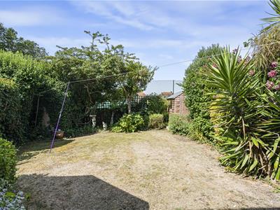 Picture 21